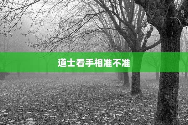道士看手相准不准