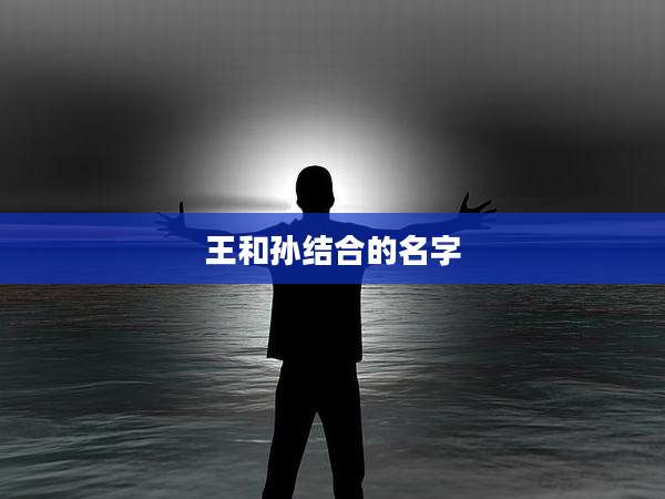 王和孙结合的名字