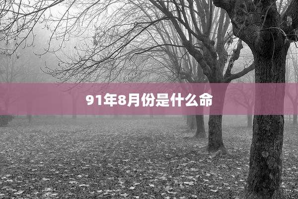 91年8月份是什么命