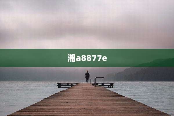湘a8877e
