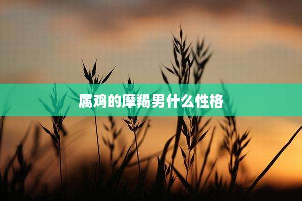 属鸡的摩羯男什么性格