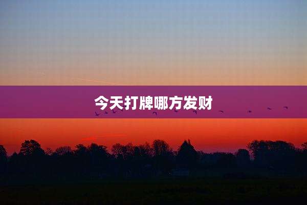 今天打牌哪方发财