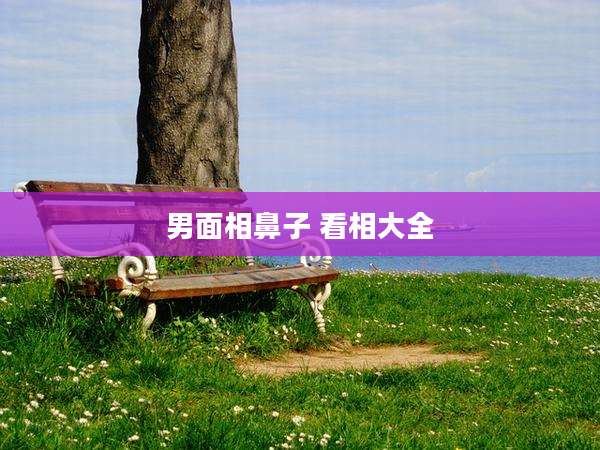 男面相鼻子 看相大全