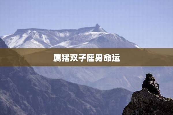 属猪双子座男命运