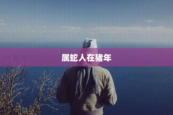 属蛇人在猪年