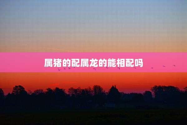 属猪的配属龙的能相配吗
