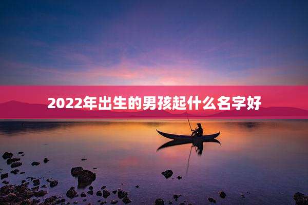 2022年出生的男孩起什么名字好
