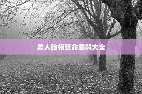 男人脸相算命图解大全