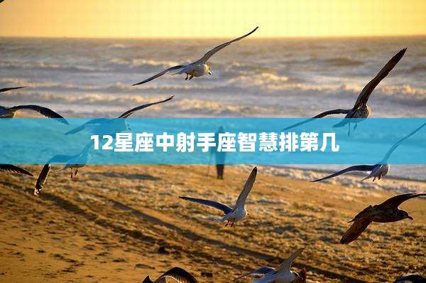 12星座中射手座智慧排第几