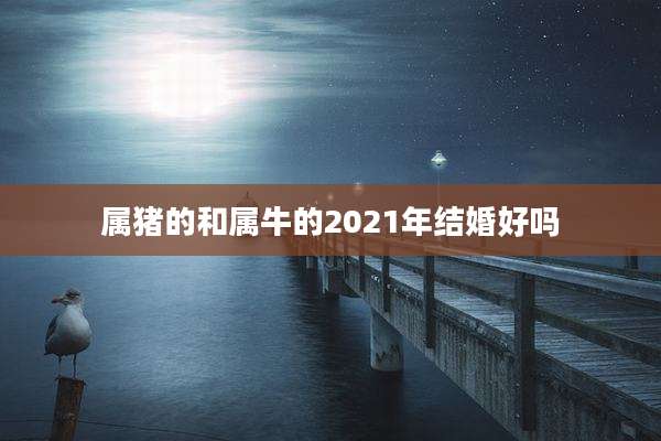 属猪的和属牛的2021年结婚好吗