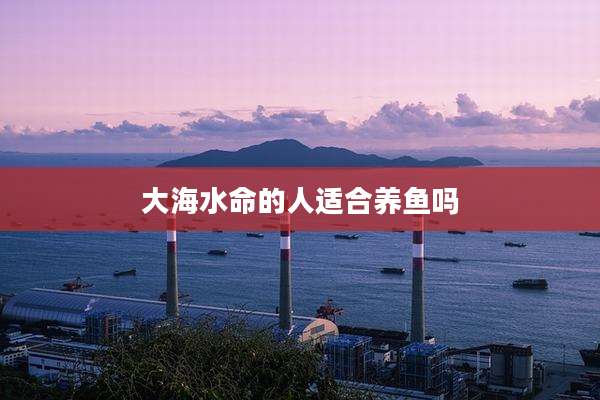 大海水命的人适合养鱼吗