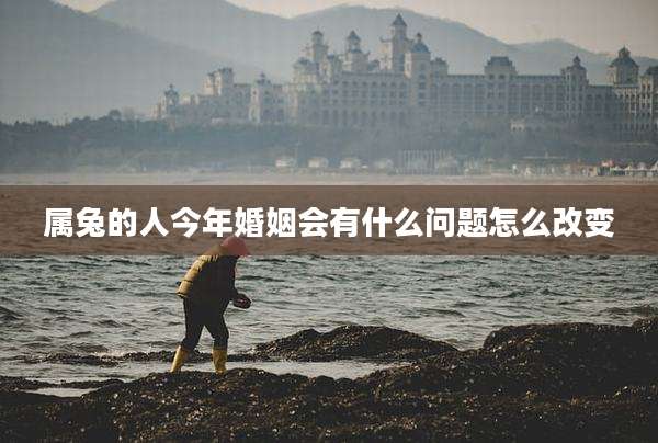 属兔的人今年婚姻会有什么问题怎么改变