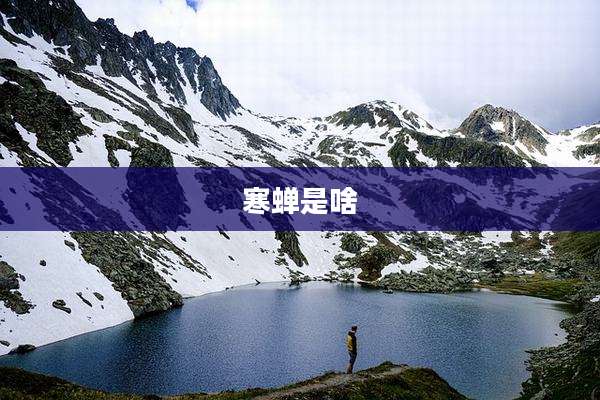寒蝉是啥
