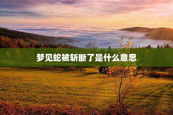 梦见蛇被斩断了是什么意思