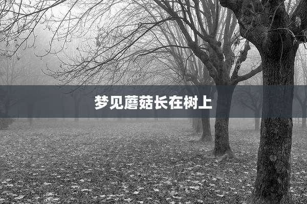 梦见蘑菇长在树上