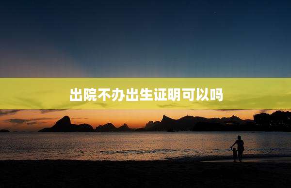 出院不办出生证明可以吗