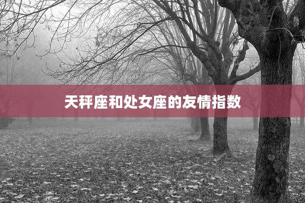 天秤座和处女座的友情指数