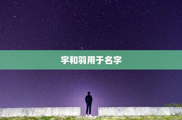 宇和羽用于名字