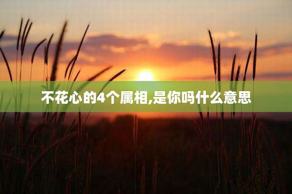 不花心的4个属相,是你吗什么意思