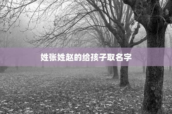 姓张姓赵的给孩子取名字