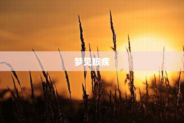 梦见眼疾