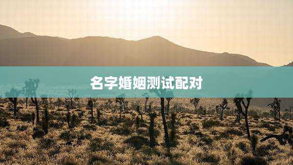 名字婚姻测试配对