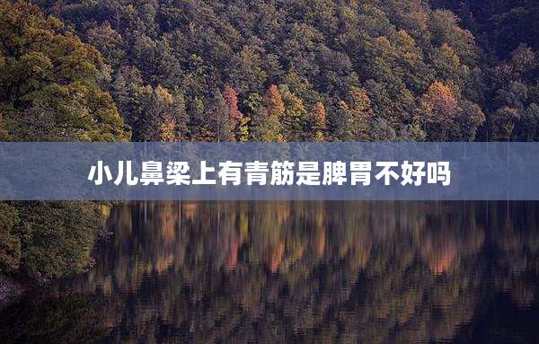 小儿鼻梁上有青筋是脾胃不好吗