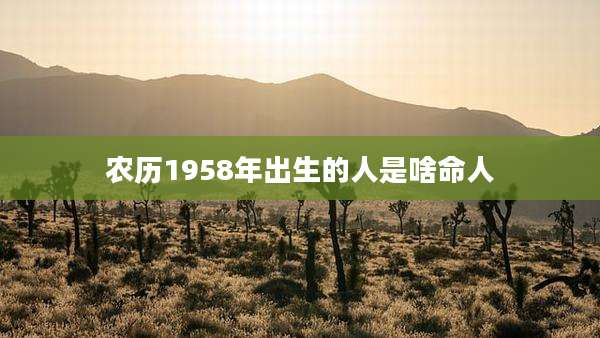 农历1958年出生的人是啥命人