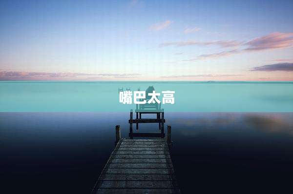 嘴巴太高