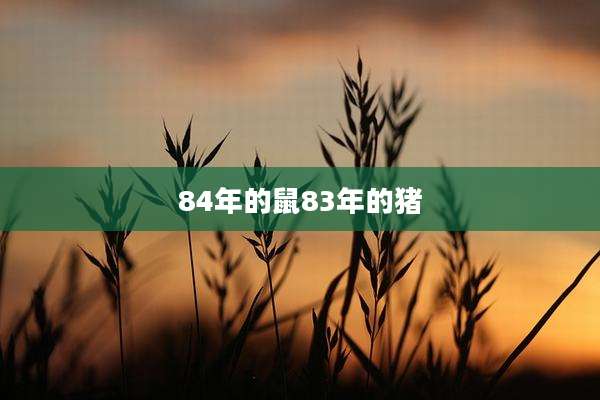84年的鼠83年的猪
