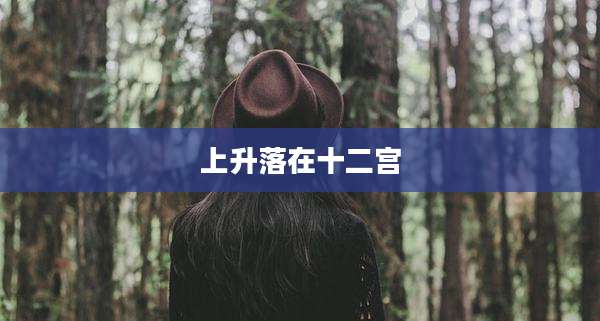 上升落在十二宫