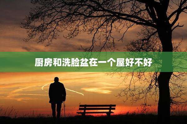 厨房和洗脸盆在一个屋好不好