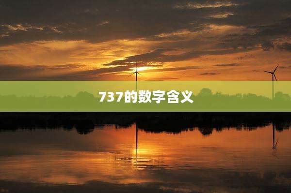 737的数字含义