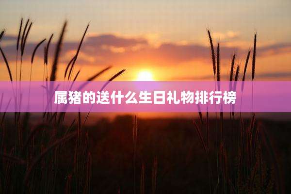属猪的送什么生日礼物排行榜