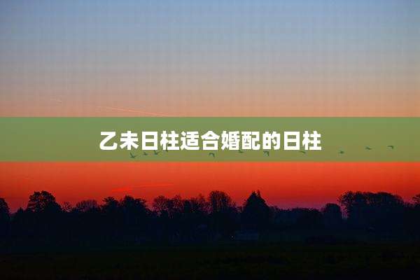乙未日柱适合婚配的日柱