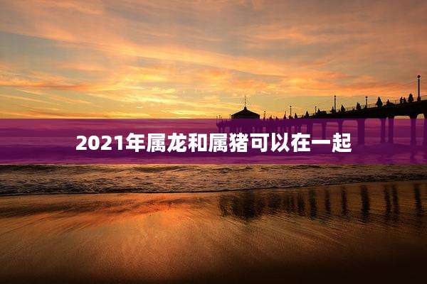 2021年属龙和属猪可以在一起