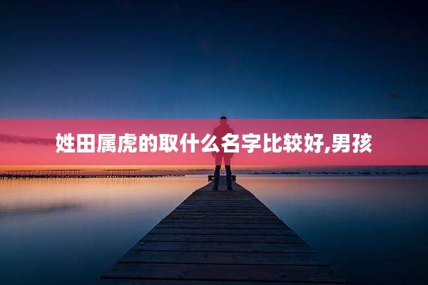 姓田属虎的取什么名字比较好,男孩