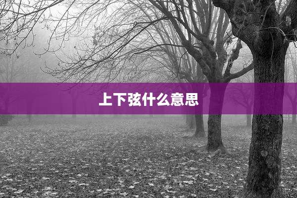 上下弦什么意思