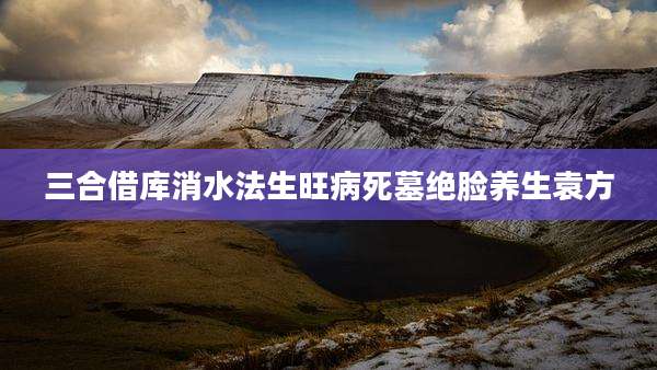 三合借库消水法生旺病死墓绝脸养生袁方