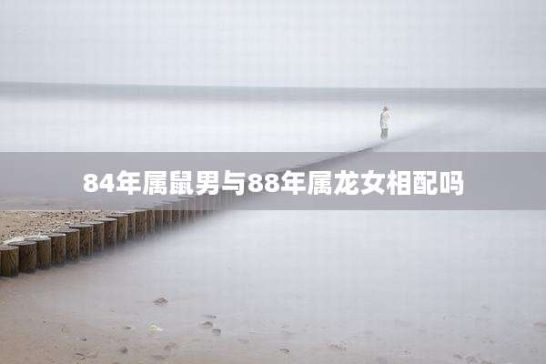 84年属鼠男与88年属龙女相配吗