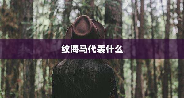 纹海马代表什么