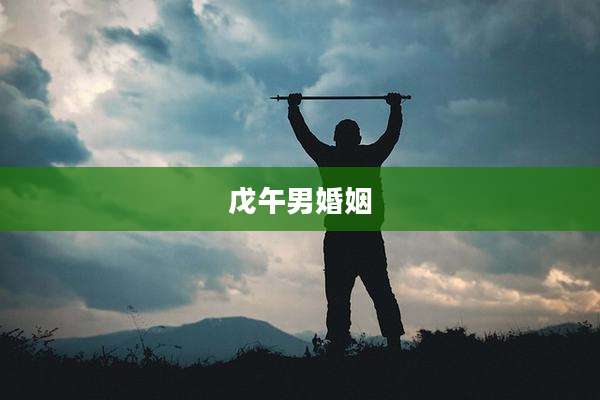 戊午男婚姻