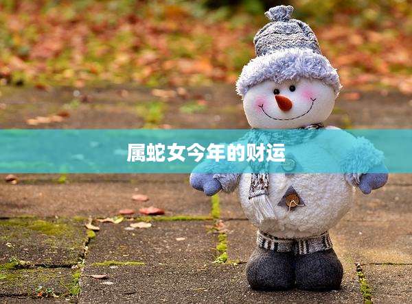 属蛇女今年的财运