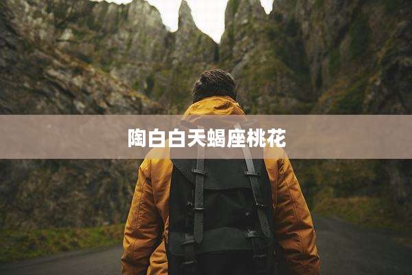 陶白白天蝎座桃花