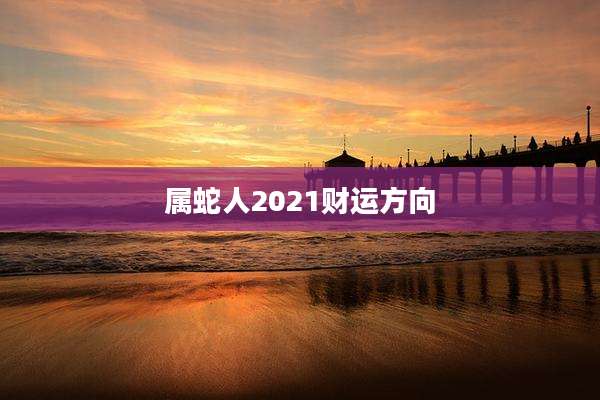 属蛇人2021财运方向