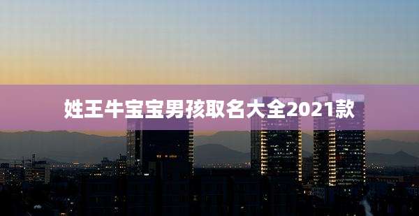 姓王牛宝宝男孩取名大全2021款