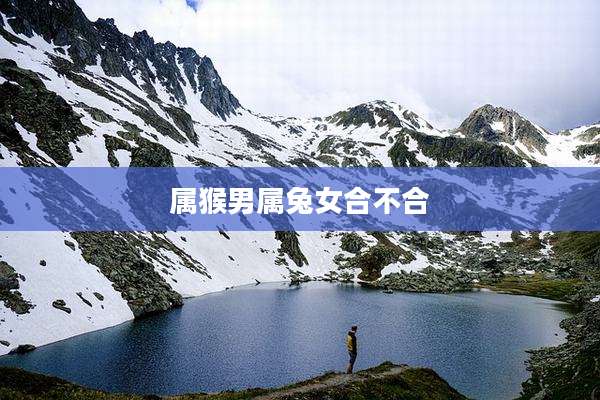 属猴男属兔女合不合