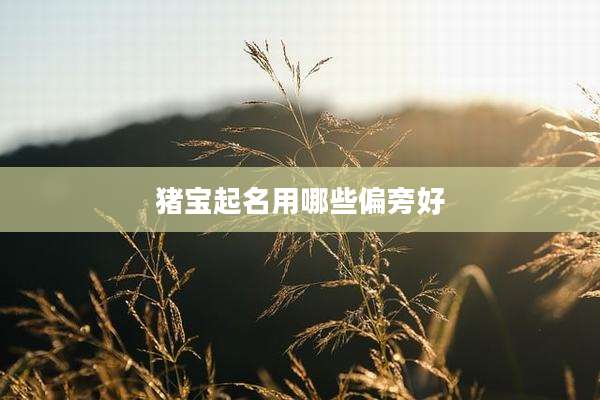 猪宝起名用哪些偏旁好