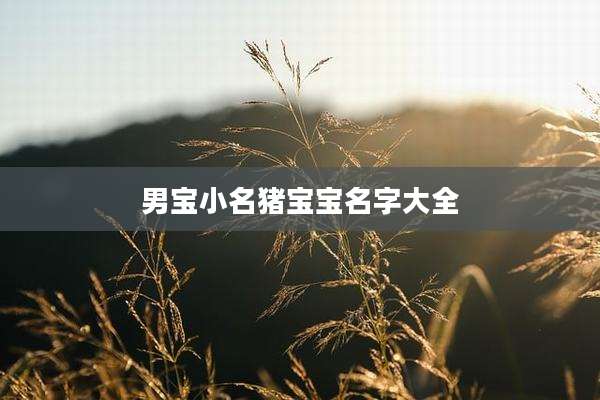 男宝小名猪宝宝名字大全