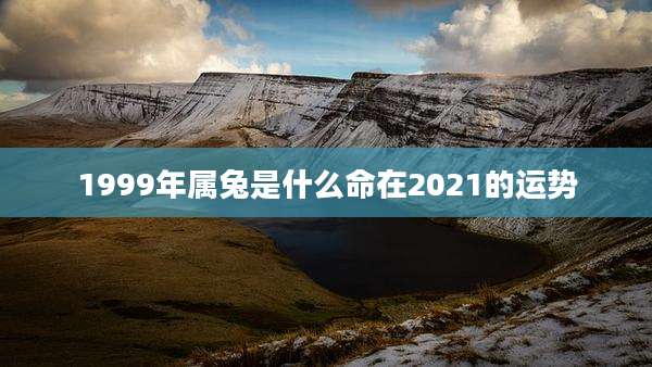 1999年属兔是什么命在2021的运势